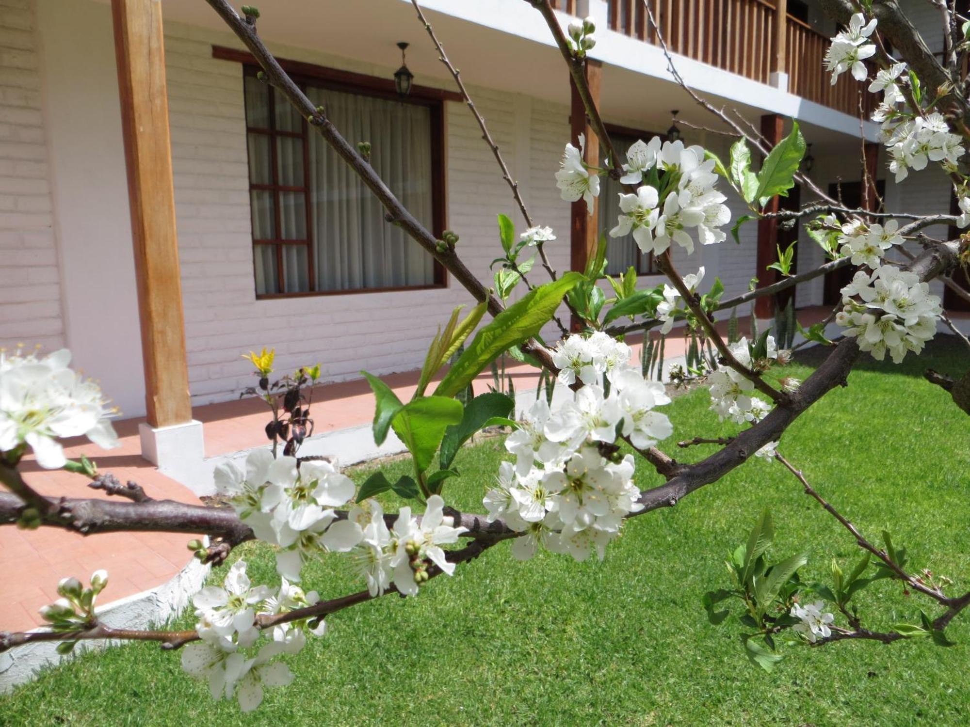 Hotel La Quinta San Andrés Ibarra Esterno foto